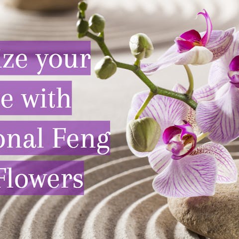 Energize your Home with Sensational Feng Shui Flowers