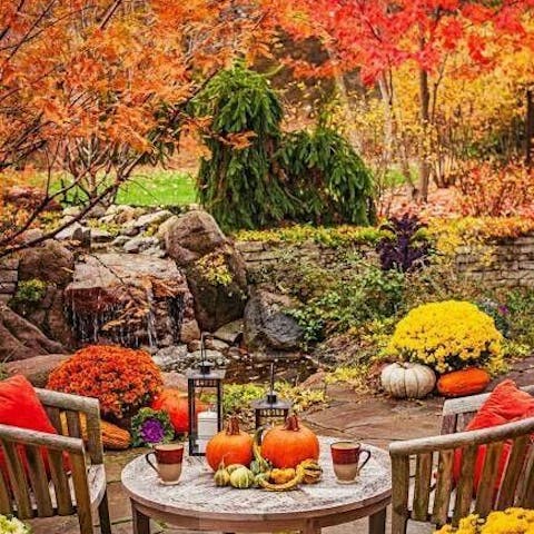 Autumn-flowers-which-flowers-to-send-as-a-gift Flora Queen