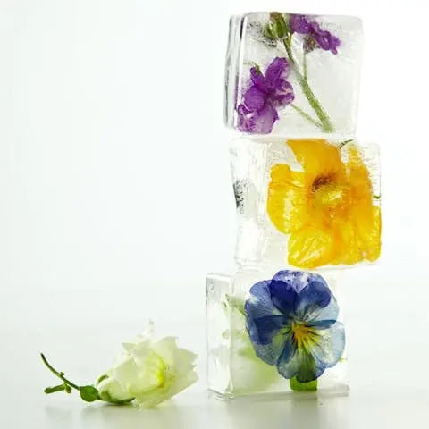 Tantalise-your-tastebuds-and-beautify-your-dishes-with-edible-flowers Flora Queen