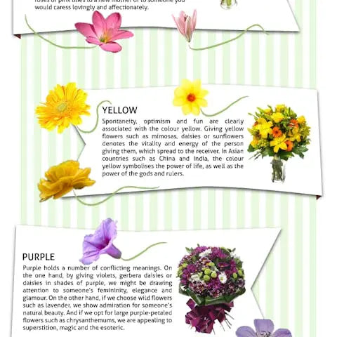 If-you-have-something-to-say-say-it-with-colours Flora Queen