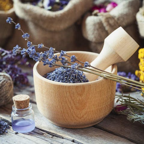 Flower Preservation Recipes