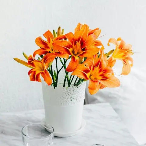 Bright-and-Bold-The-Orange-Lily-A-Meaningful-Gift-for-Any-Occasion Flora Queen