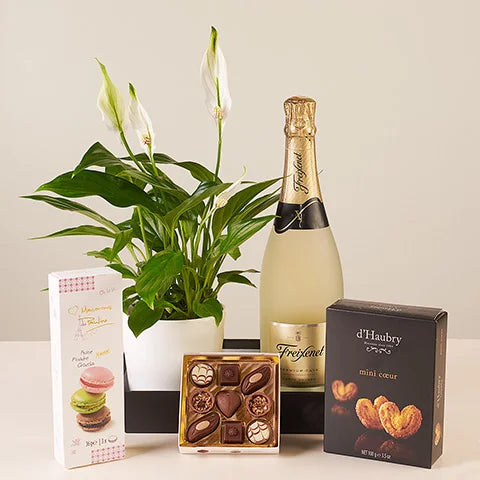 Sweet and Green – Unsere einzigartige neue Saisonkollektion, die Eindruck macht!