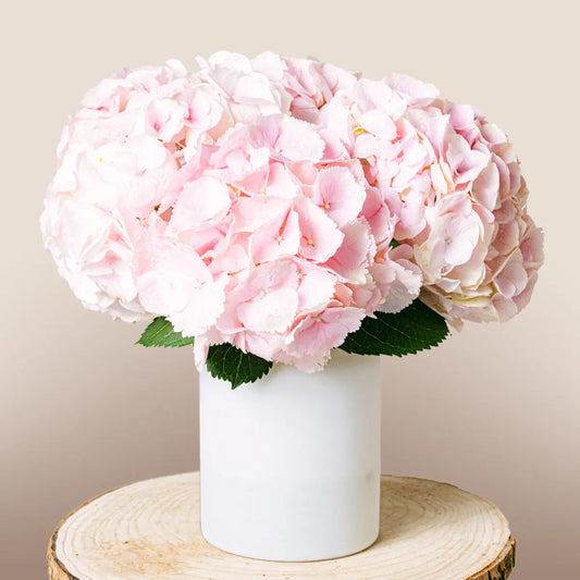 Romantic Poem Flora Queen Flora Queen