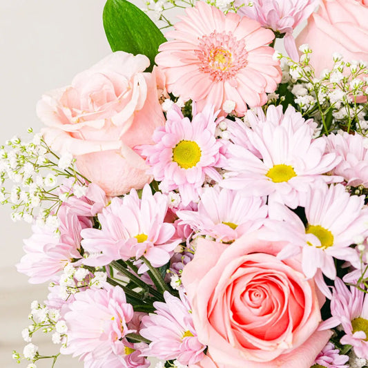 Dressed in Pink Flora Queen