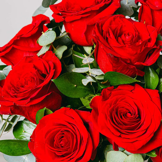 Timeless Love Flora Queen Flora Queen