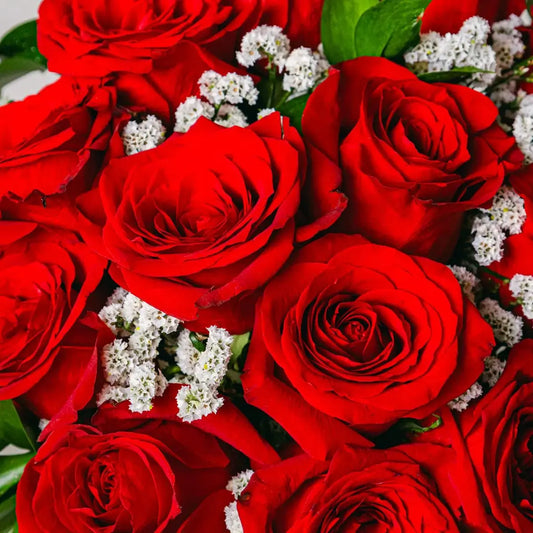 Classic Love Flora Queen
