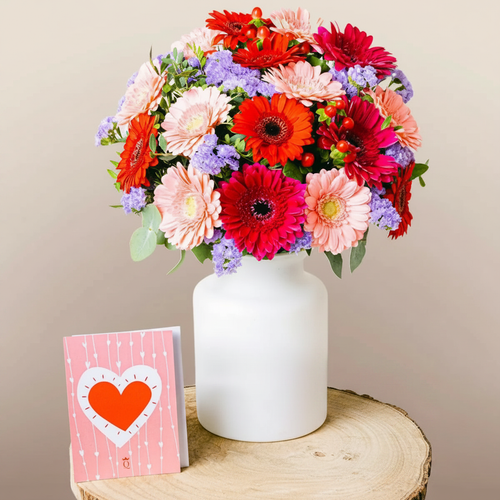 Bunter Cocktail - Gerbera und Strandflieder