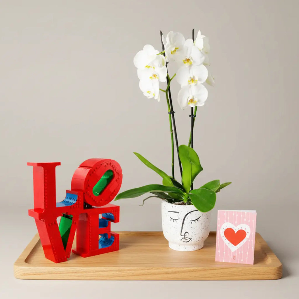 LEGO Art LOVE Gift Set Flora Queen Flora Queen